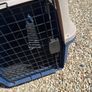 Pet Carrier Image 2