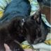 emmsy