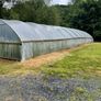 Market garden Image 9