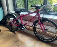 Frog bike