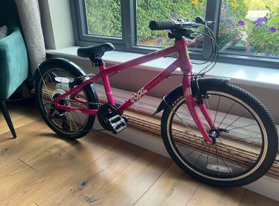 Frog bike
