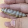 Vintage Himalayan Tibetan 2Eye Agate Dzi Bead Amulet Image 6