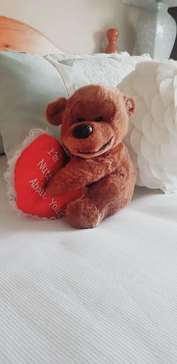 Teddy Bear Holding Love Heart