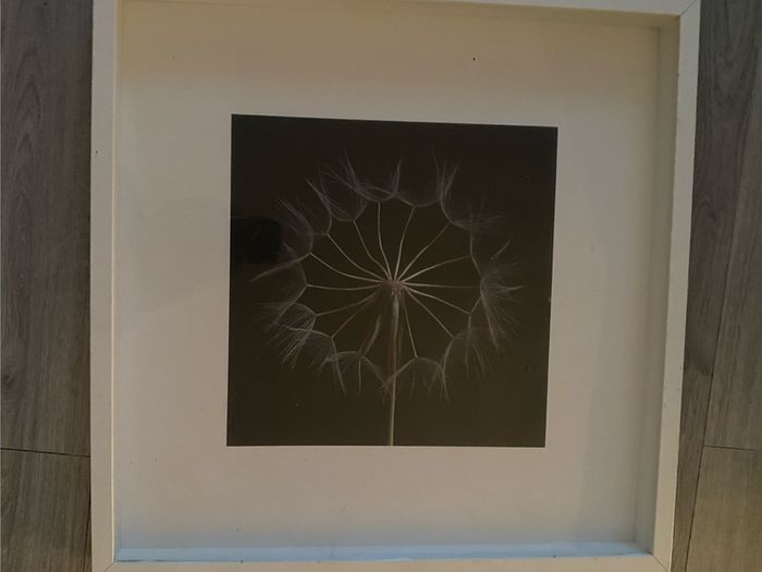 Large IKEA Framed Dandelion Print