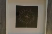 Large IKEA Framed Dandelion Print