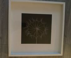 Large IKEA Framed Dandelion Print