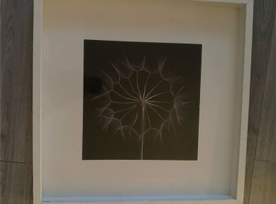 Large IKEA Framed Dandelion Print