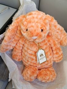 Jellycat Fizzleskips Bunny New With Tags