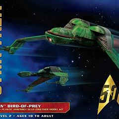 Klingon bird of pray model kit.