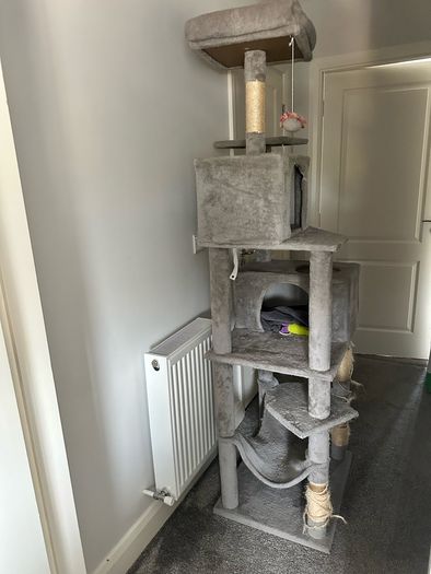 cat tree 191cm