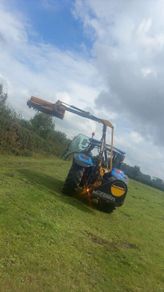 Hedge cutting for hire