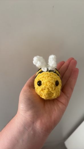 bee teddy