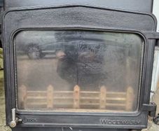 Woodwarm Stove with Back Boiler