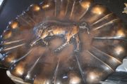 Large copper wall decoration