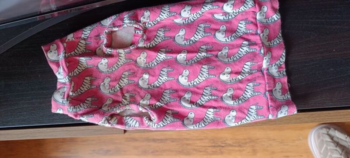 sphynx cat clothes