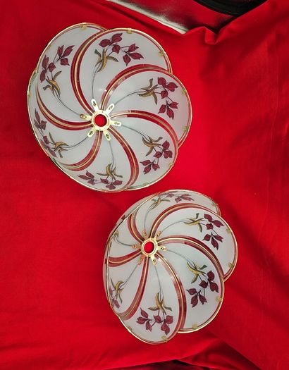 Retro glass lampshades decorated with an iris flower motif