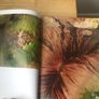 Earth View: Satellite Images of Our Planet - NASA / USGS (Hardcover) Image 4