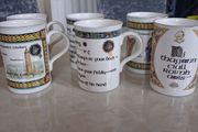 Set of 6 Royal Tara Mugs