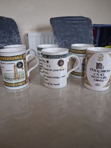 Set of 6 Royal Tara Mugs