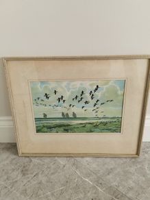Peter Scott print