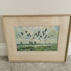 Peter Scott print