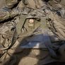 canada goose Image 9