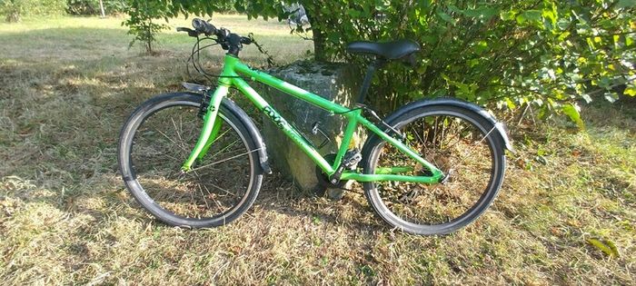 frog bike