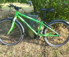 frog bike