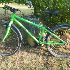frog bike
