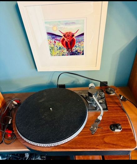 Steepletone wooden turntable, brand new needle, selling as speakers don't work anymore, i bought connectors, maybe i haven't cut the wires enough, everything else works fine, I'll supply the connectors so all it needs is speakers