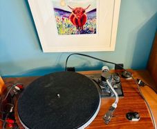 Steepletone wooden turntable, brand new needle, selling as speakers don't work anymore, i bought connectors, maybe i haven't cut the wires enough, everything else works fine, I'll supply the connectors so all it needs is speakers