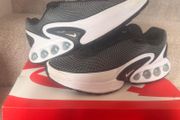trainers