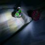 Ring haul Image 6
