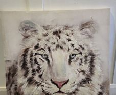 Canvas picture 80cmx80cm