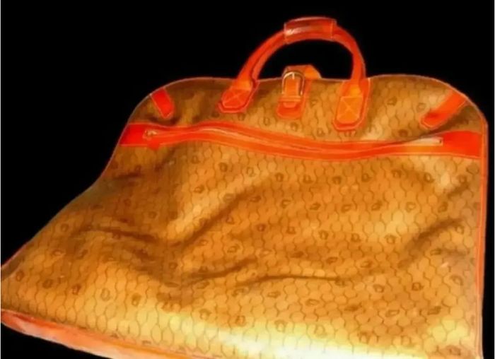 Vintage Authentic Christian Dior Honeycomb Garment Bag