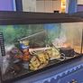 75litre Aquarium Image 2