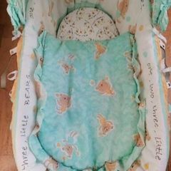 Moses Basket