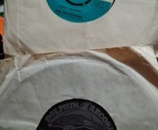 Vinyl Wolfe Tones
