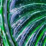 Uranium Green Vintage Glass Carnival Serving Bowl by Bagley UK Image 5