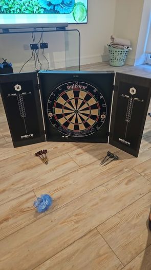 Dart board and darts
