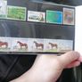 1981 Irish Special Stamps Year Pack Image 4