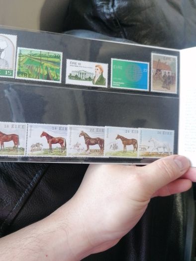 1981 Irish Special Stamps Year Pack