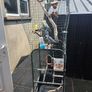 Bird Cage Image 3