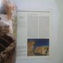 The Southwest: A Pictorial History of the Land and Its People Image 7