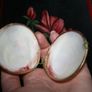 Vintage Genuine Clam Shell Compact Beautiful 2,4" Image 6