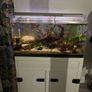 Aquarium about 200 litres with a light Image 9