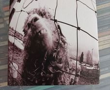 Pearl Jam - VS CD