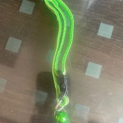Glow in the dark Cat Collar with bell