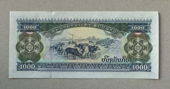 Laos 1000 Kip 2003 Banknote