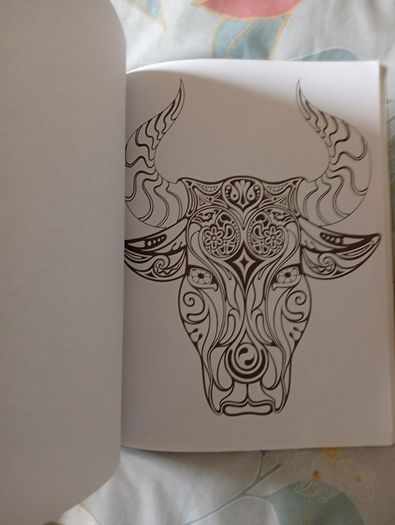 Therapeutic Colouring Books x 2